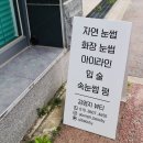 김영지뷰티 | 광주 입술타투, 입술문신 후기 / 김영지뷰티 (feat. 고민 된다면 드루와)