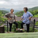 참살이 가족 캠핑장 이미지