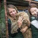 초복농장 이미지