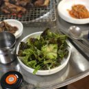 장마실