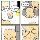 썬데이스낵 이미지