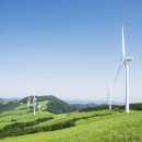 사계절목장 이미지