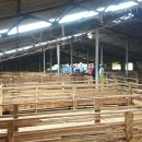 하촌농장 이미지