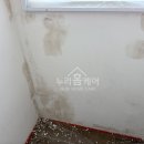 누리약품 | 김포 탄성코트 구래동 반도유보라 베란다 결로 곰팡이 해결 단열페인트 실리카 시공 후기