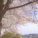 수변공원(2)아래수변공원 이미지