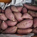 10 | 여주 꿀고구마 10kg 후기｜세척고구마 보관법·고구마 찌는법·쉐이크 활용