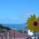 해돋이 가자 애견펜션 이미지