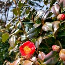 이순신공원(기상대) 이미지