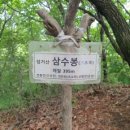 천흥천 이미지