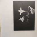 030-4 Daum카페