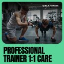 바디라인 피트니스 이미지