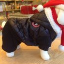 퍼피파파 이미지