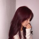 스위트벙커