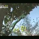 이삼농장 이미지