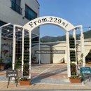 프롬229에스티