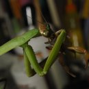 하계농장 이미지