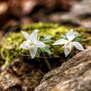 임도삼거리 공중화장실 이미지