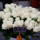 중앙플라워(생화) 이미지