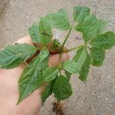 금산4구 이미지