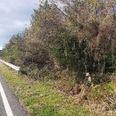 남원읍-68 이미지