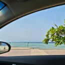 NetZone 네이버블로그