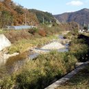 원천리농장 이미지