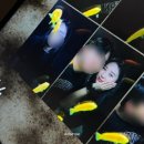 인생네컷 코스 | 성수 포토오브제 물고기 인생네컷 핫플 데이트 후기