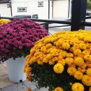 마가렛보호작업장 이미지