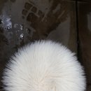 투엑스원 이미지