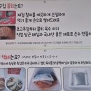 구구집 | [속초] 속초물회맛집 '구구집' 방문후기, 속초성게비빔밥