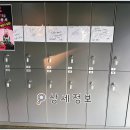 곱이곱다원주