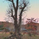 가얏고마을 이미지