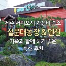 천지연 관광지관리사업소 주차장 | 제주 서귀포시 가성비 숙소 설문대농장 &amp; 펜션, 가족과 함께 하기 좋은 숙소 추천