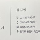 지혜롭개 이미지