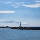 하바다 통나무집 | 250918 제주도 1일차