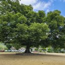 소호분교초등학교 이미지
