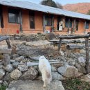 밤나무계곡민박 | [하동, 구례여행] 4. 다소랑 정원 펜션 민박