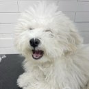 인물나개 이미지