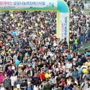 용인시종합운동장 이미지