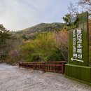 돌담과초록
