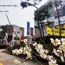 한국타이어 서수원점 이미지