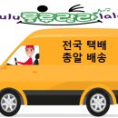 하나몬테소리어린이집 이미지