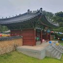 벅스랜드(스카이 벅스, SKY BUGS) 이미지