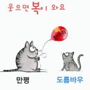 보충제까지 나오는 마그네슘, 왜 중요할까? 이미지