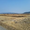 양지노인마을 | 경주5 - 남산지역, 동남산 일대