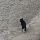 온뷰모텔 이미지