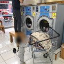 정빨래방 이미지