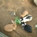 창조자연사박물관 이미지