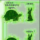 토끼와거북이 이미지