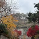 연세미앤필의원 | 백수의 하루 일상은 강아지 산책으로부터🐾